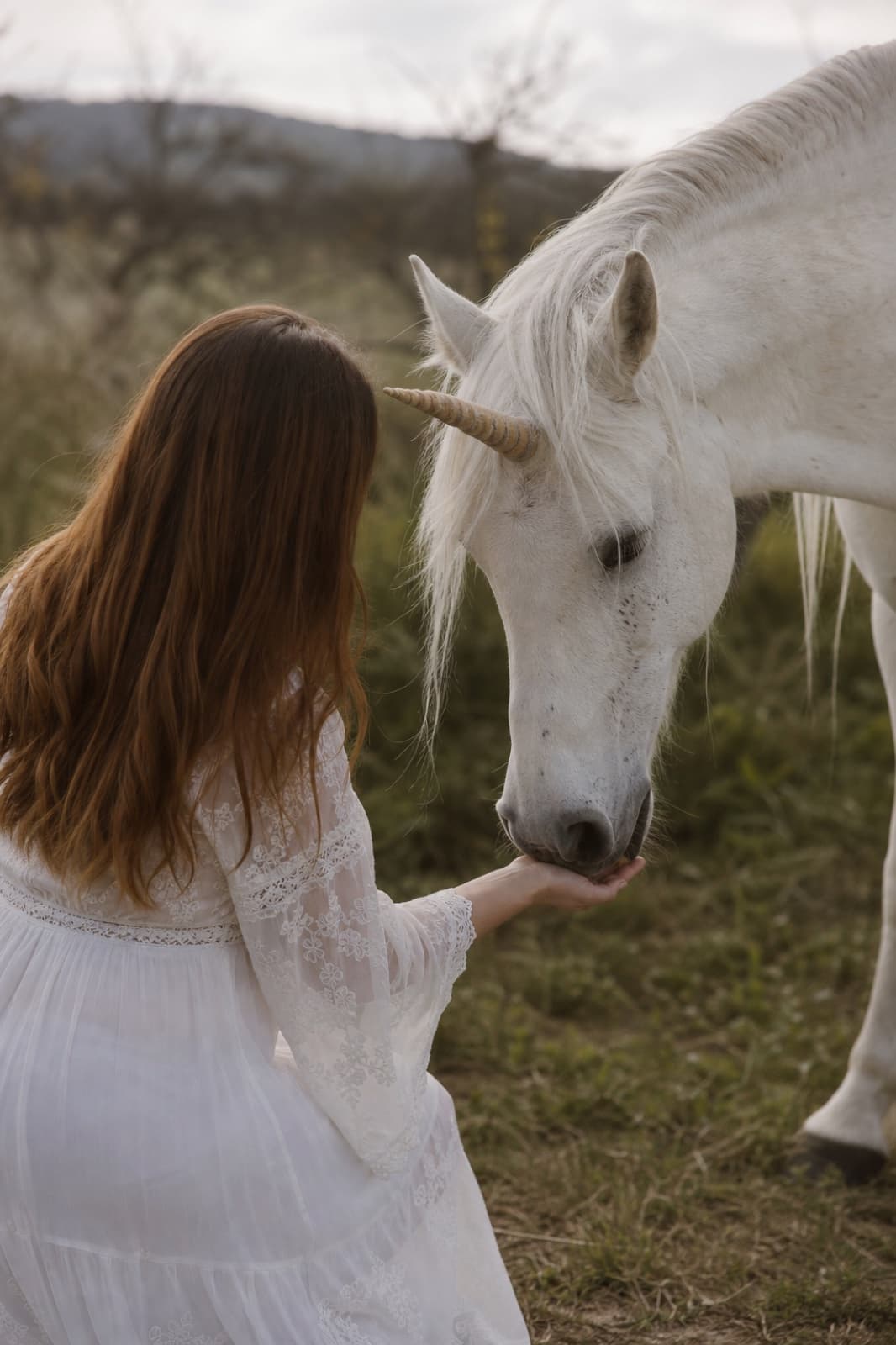 De Twijfelende Visionair — Your Unicorn Way